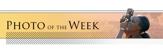 Photo of the week graphic