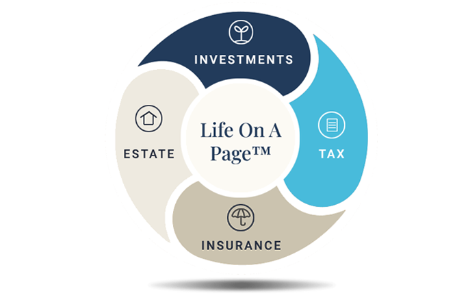 Life On A Page(TM) infographic